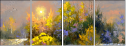 25158579