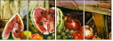 25162532