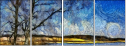 252232371
