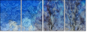 252232393