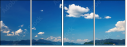 25295366