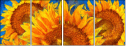 256376669
