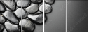25876138