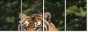 26122223