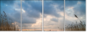 26174733