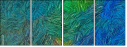 262122365