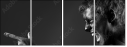 26417303