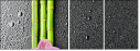 26606581
