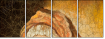 26904227
