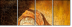 26905100