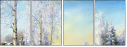 26973072