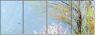 26973707