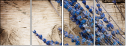 27029700