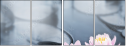 27192905