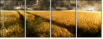 27477176