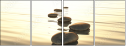 27492911