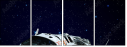 27649891