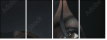 28242259