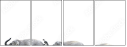 29095081