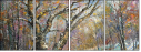 29134813