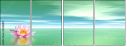 29216817