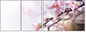 29266814