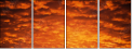 29892519