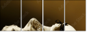 29966213