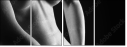 30291161