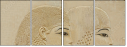 30400596