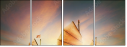 30473389