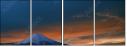 30498202