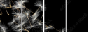 30521892