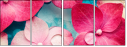 30909290