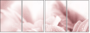 31030439