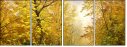 31192319