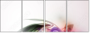 31276128