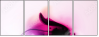 31395557