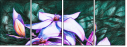 31428274