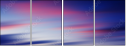 31651562