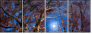 31860208