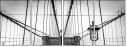 319353344