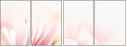 32108465