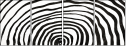 324703304
