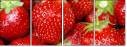 3269949
