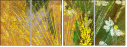 32753140