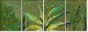 32753279