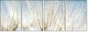 32821180