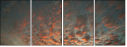 32897630