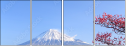 32966670